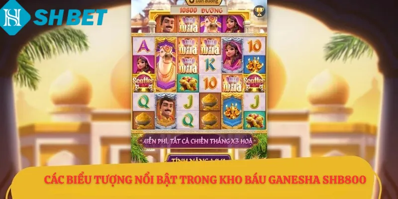 Các biểu tượng nổi bật trong Kho Báu Ganesha shb800