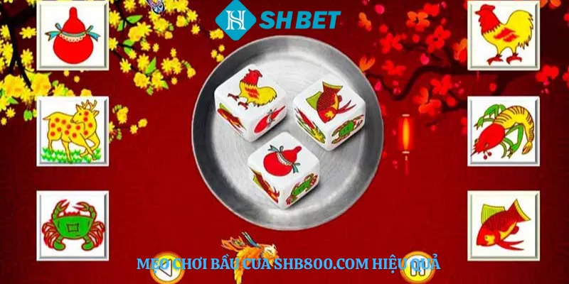 Mẹo Chơi Bầu Cua shb800.com Hiệu Quả