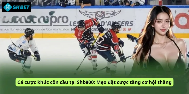 Cá cược khúc côn cầu tại Shb800: Mẹo đặt cược tăng cơ hội thắng