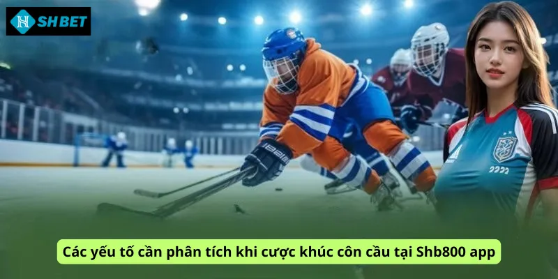 Các yếu tố cần phân tích khi cược khúc côn cầu tại Shb800 app