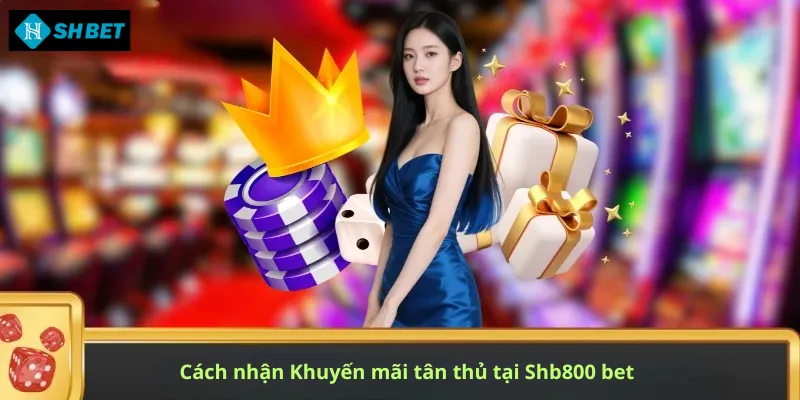 Cách nhận Khuyến mãi tân thủ tại Shb800 bet