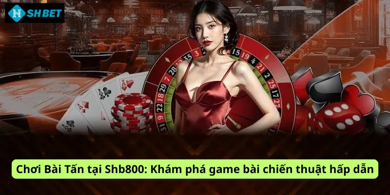 Chơi Bài Tấn tại Shb800: Khám phá game bài chiến thuật hấp dẫn