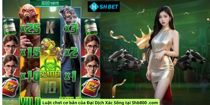Luật chơi cơ bản của Đại Dịch Xác Sống tại Shb800 .com