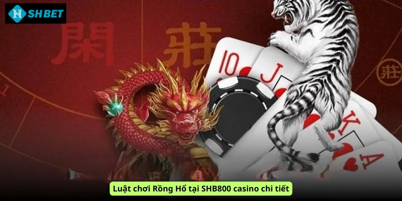 Luật chơi Rồng Hổ tại SHB800 casino chi tiết