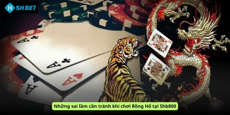 Những sai lầm cần tránh khi chơi Rồng Hổ tại Shb800